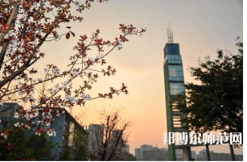 重慶文理師范學(xué)院星湖校區(qū)2023年學(xué)費(fèi)、收費(fèi)多少