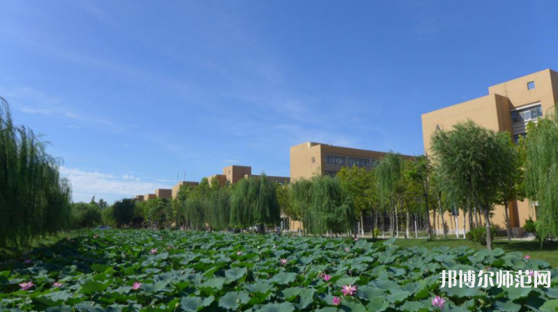 東營(yíng)職業(yè)師范學(xué)院2023年報(bào)名條件、招生要求、招生對(duì)象 