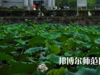 南華師范大學(xué)紅湘校區(qū)2023年報(bào)名條件、招生要求、招生對(duì)象