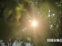 咸陽(yáng)職業(yè)技術(shù)師范學(xué)院2023年報(bào)名條件、招生要求、招生對(duì)象