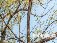 湖南大學(xué)師范學(xué)院南校區(qū)2023年怎么樣、好不好