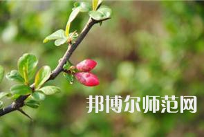 西安幼兒師范職業(yè)學(xué)校2023年學(xué)費(fèi)、收費(fèi)多少
