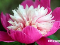 海南師范大學(xué)2023年報(bào)名條件、招生要求、招生對(duì)象