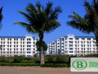 海南師范大學(xué)2023年招生辦聯(lián)系電話