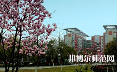 長江師范學(xué)院2023年報(bào)名條件、招生要求、招生對(duì)象 