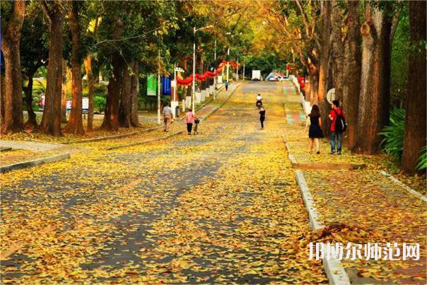 海南大學(xué)師范學(xué)院海甸校區(qū)2023年報(bào)名條件、招生要求、招生對象 