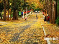 海南大學(xué)師范學(xué)院海甸校區(qū)2023年報(bào)名條件、招生要求、招生對(duì)象