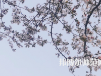湖南第一師范學(xué)院城南書院校區(qū)2023年學(xué)費(fèi)、收費(fèi)多少