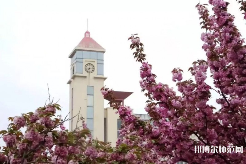 青島師范大學(xué)金家?guī)X校區(qū)2023年報(bào)名條件、招生要求、招生對(duì)象 