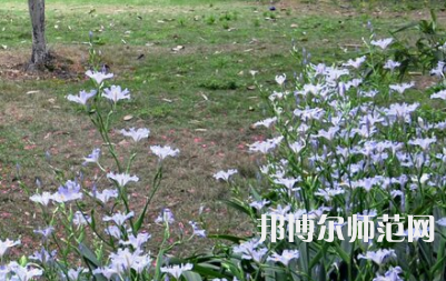湖南第一師范學(xué)院城南書院校區(qū)2023年怎么樣、好不好