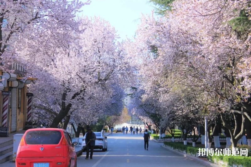 青島師范大學浮山校區(qū)2023年招生錄取分數線