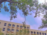 青島師范大學(xué)浮山校區(qū)2023年報(bào)名條件、招生要求、招生對(duì)象