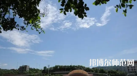 重慶幼兒師范高等?？茖W校梨園校區(qū)2023年有哪些專業(yè) 