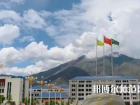 拉薩師范高等?？茖W校2023年招生代碼