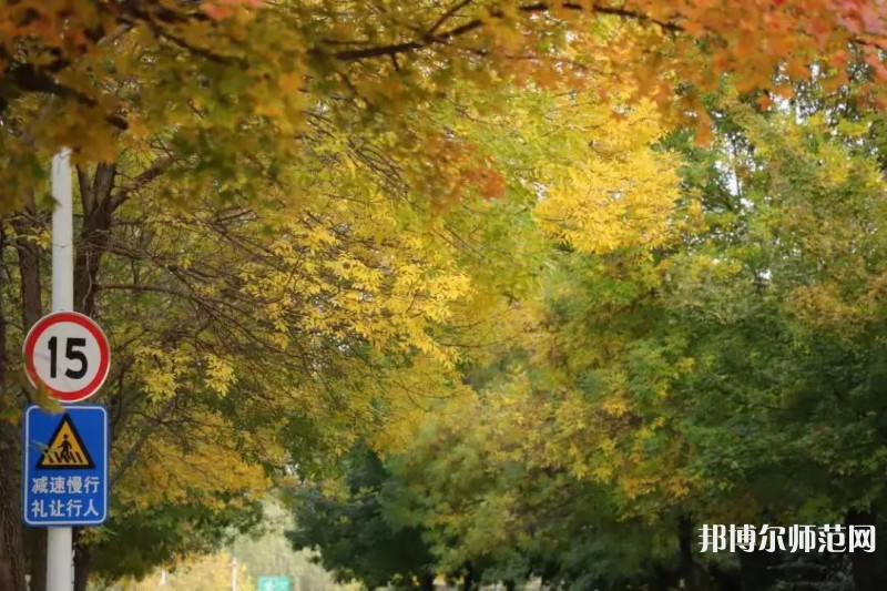 濟(jì)南幼兒師范高等?？茖W(xué)校2023年有哪些專業(yè)