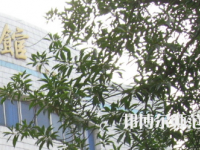 湖南師范大學(xué)樹達(dá)學(xué)院2023年怎么樣、好不好
