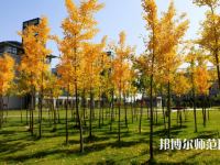 寧夏民族職業(yè)技術(shù)師范學(xué)院2023年怎么樣、好不好