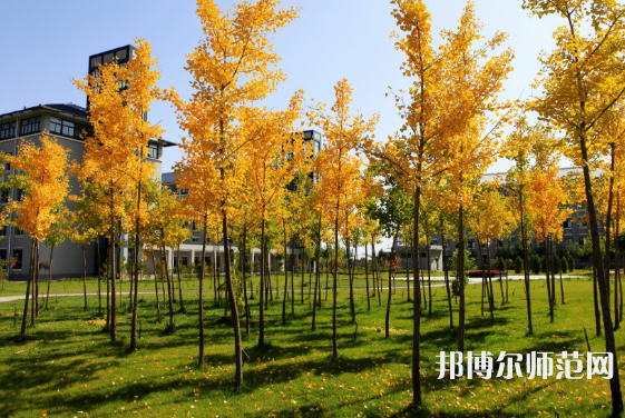 瀘州啟明幼師職業(yè)技術學校2023年招生簡章