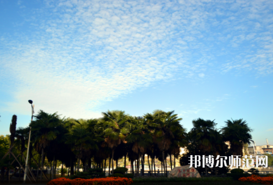 長(zhǎng)江大學(xué)文理學(xué)院2023年有哪些專(zhuān)業(yè)