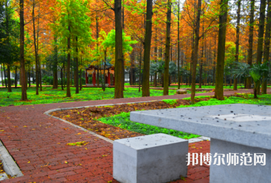 長江大學(xué)文理學(xué)院2023年怎么樣、好不好