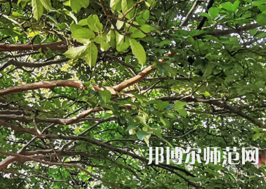 湖南師范大學(xué)2023年報名條件、招生要求、招生對象