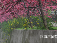 湖北師范學(xué)院2023年招生計劃