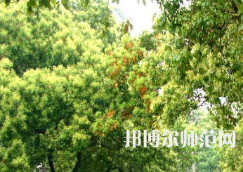 衡陽師范學(xué)院南岳學(xué)院2023年怎么樣、好不好
