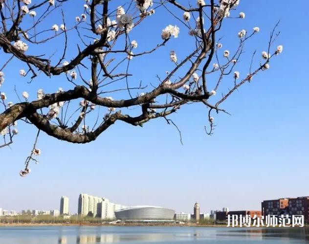 天津理工師范大學(xué)2023年報名條件、招生要求、招生對象