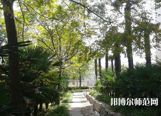 西北大學(xué)師范學(xué)院桃園校區(qū)2023年怎么樣、好不好