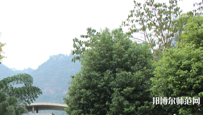 自貢大安幼師職業(yè)技術(shù)學(xué)校2023年學(xué)費、收費多少