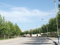 西北大學(xué)師范學(xué)院太白校區(qū)2023年報(bào)名條件、招生要求、招生對(duì)象