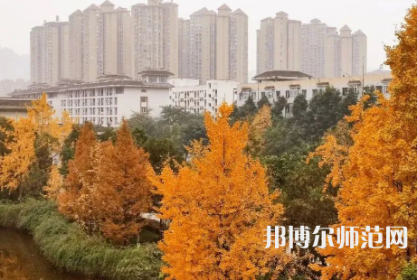 雅安職業(yè)技術(shù)師范學(xué)院2023年怎么樣、好不好